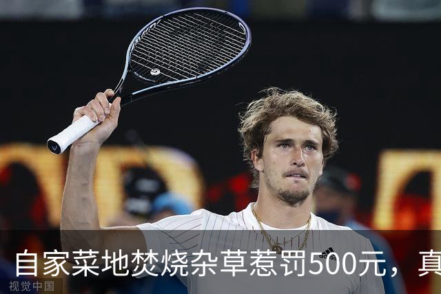 自家菜地焚烧杂草惹罚500元，真是“烧”钱啊！
